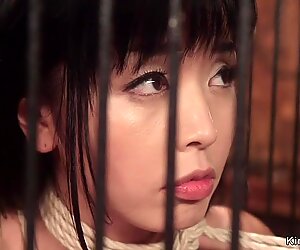 Petite Asiatique Lesbienne Anal Baisée Lezdom