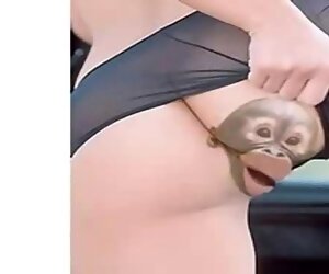Hey There Vagina