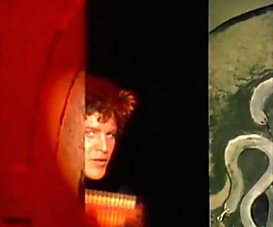 Behind The Green Door 2 -The Sequel (1986)