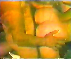 SWINGERS ORGY RETRO FUN
